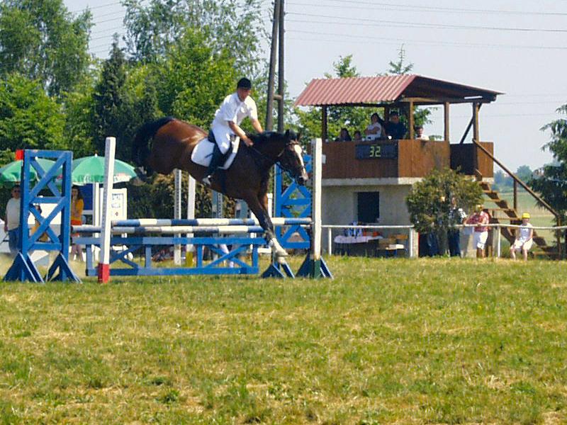 Riding competition  on the paddock near College of Agriculture