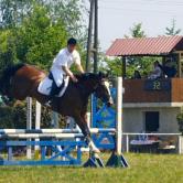 Riding competition  on the paddock near College of Agriculture