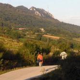 Serene Landscape of Kalnik